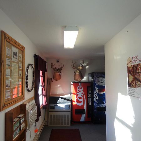 Tipperary Lodge Buffalo Eksteriør bilde